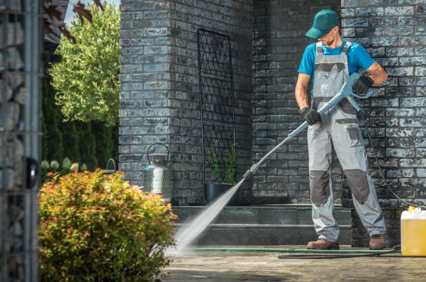 Best Patio and Deck Pressure Washing  in Ly Lake, IL