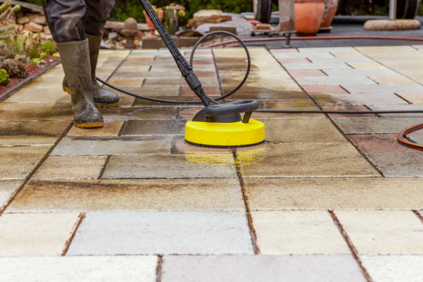 Boat and Dock Cleaning in Lily Lake, IL